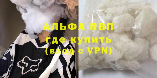 ПСИЛОЦИБИНОВЫЕ ГРИБЫ Лихославль
