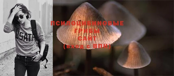 марки lsd Лагань