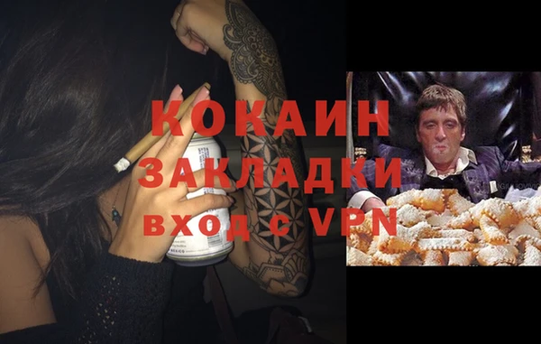 винт Лабытнанги