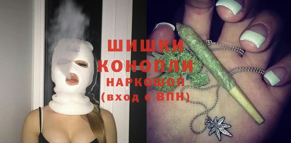 ПСИЛОЦИБИНОВЫЕ ГРИБЫ Лихославль