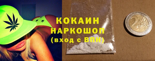винт Лабытнанги